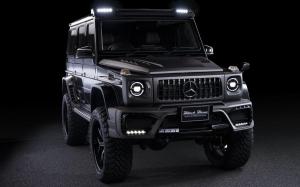 Mercedes-Benz G-Class Sports Line Black Bison Edition by Wald (W463) '2019